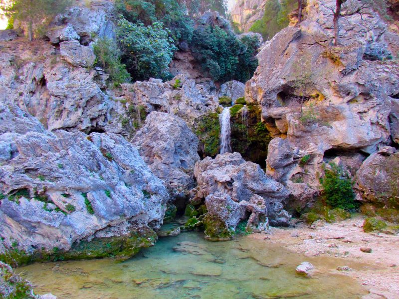 Bosques y cumbres de la Sierra de Segura